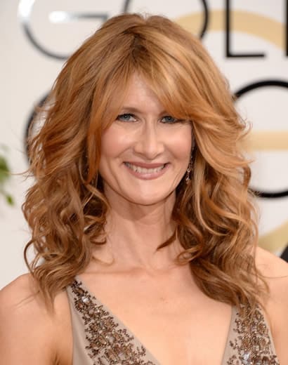 Laura Dern in 2014